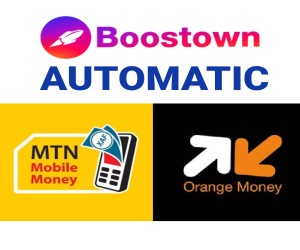 Mobile Money